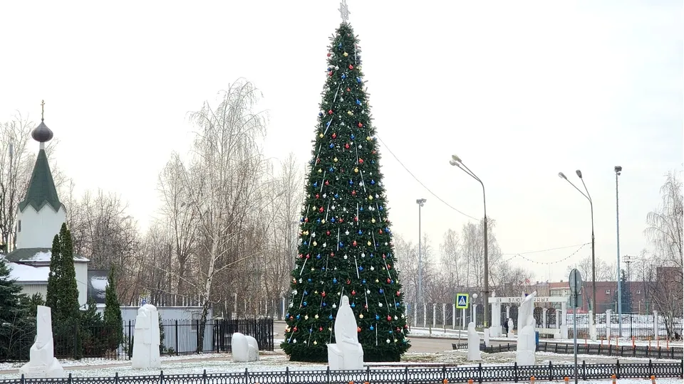 Фото: Мария Юдина