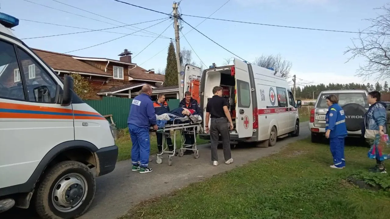 Картинка