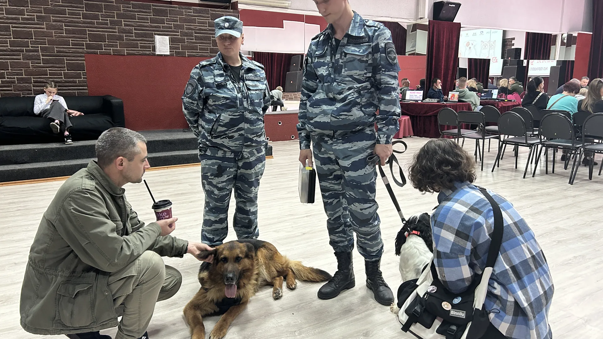 Картинка