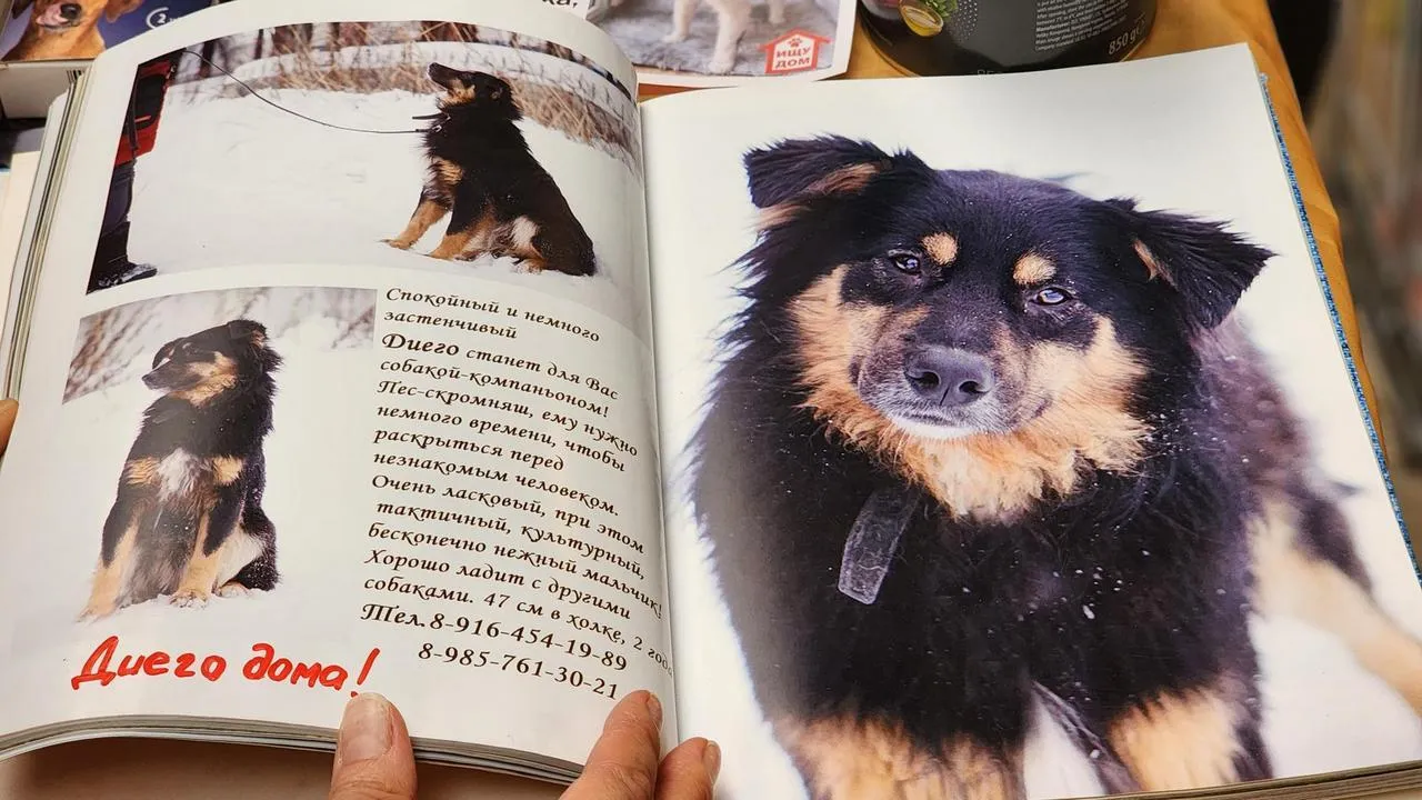 Картинка