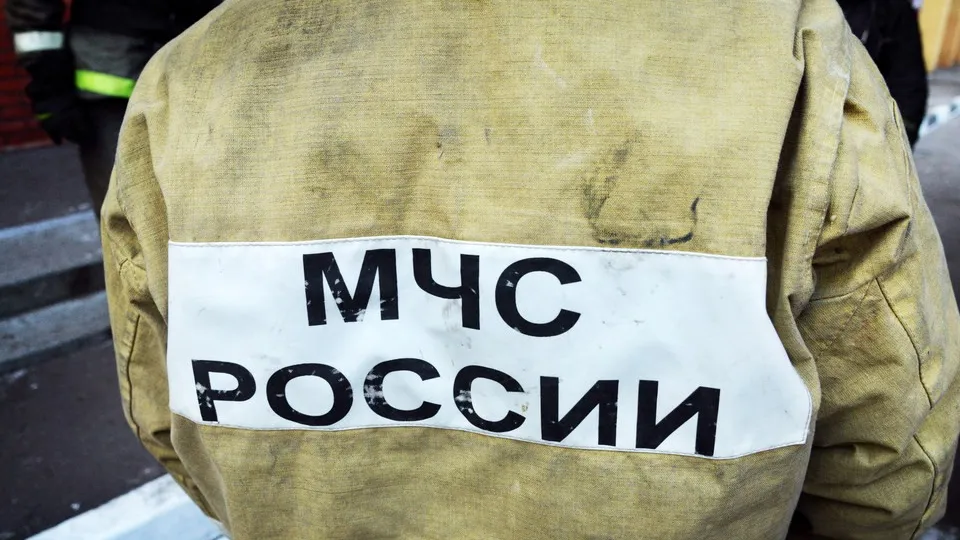 Фото: МедиаБанк Подмосковья