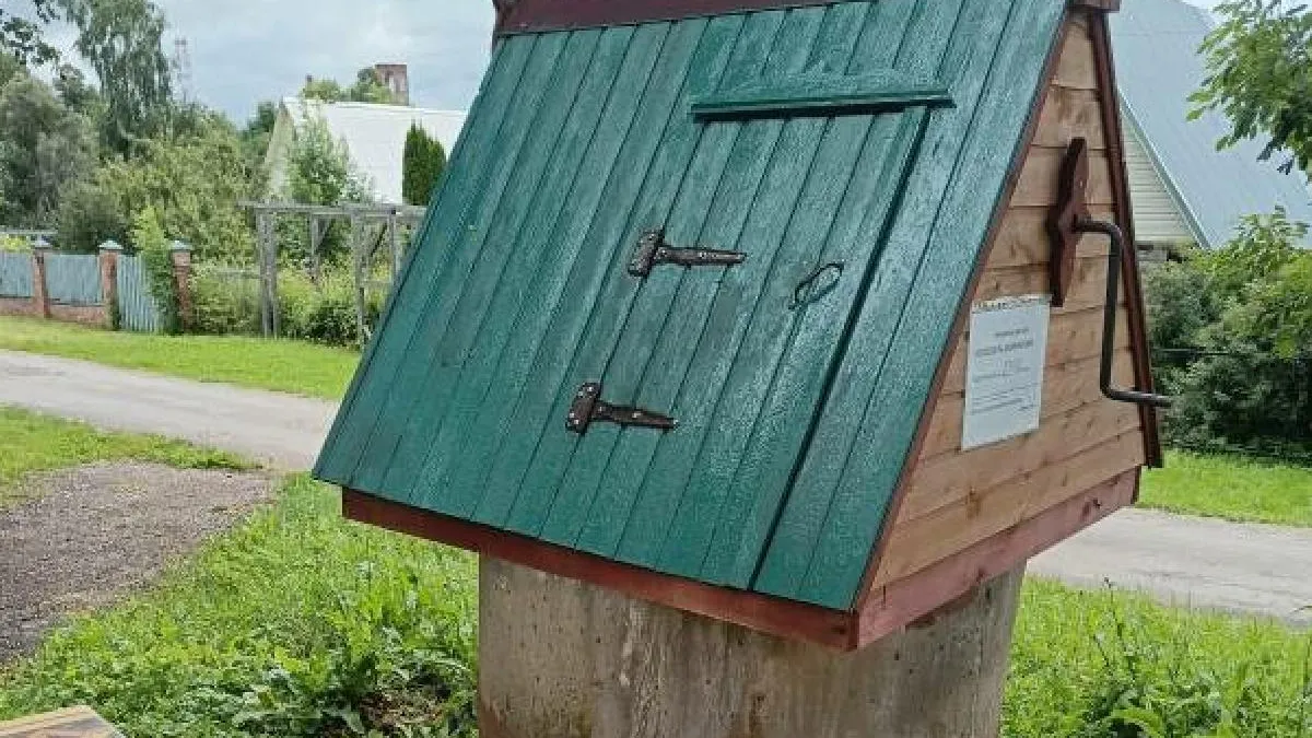 Картинка