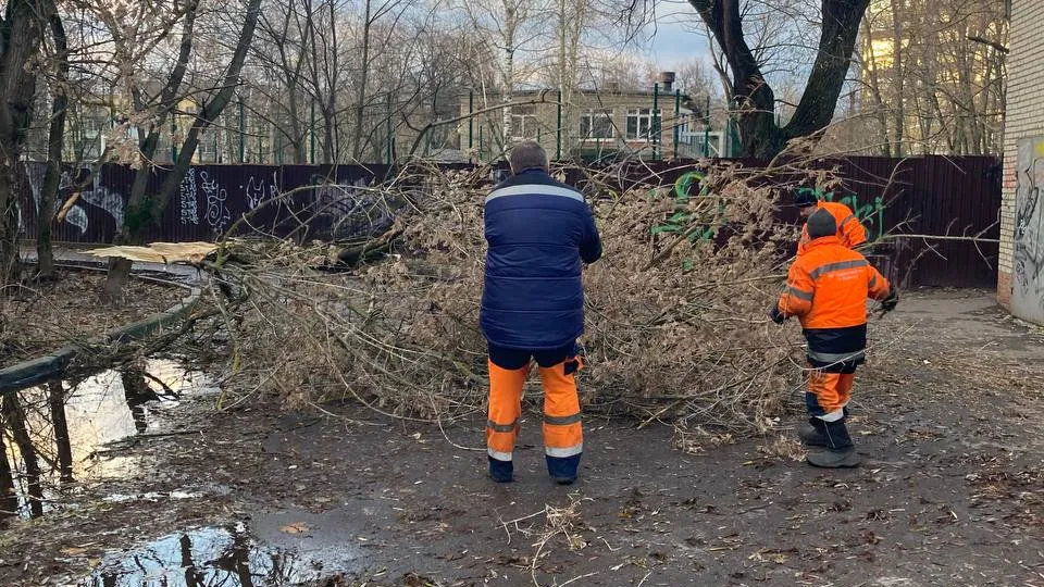 Фото: МЦУР Жуковский