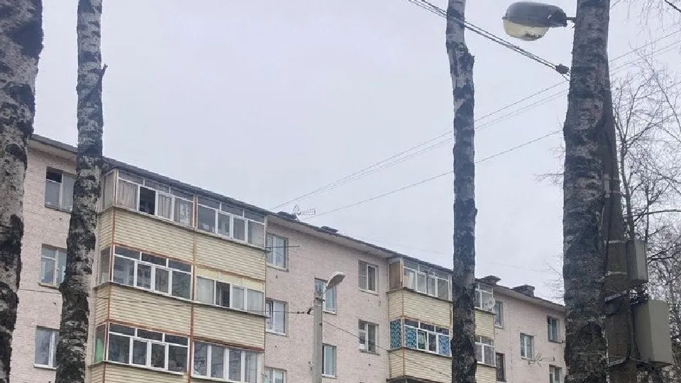 Фото: администрация Одинцовского городского округа