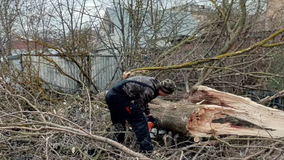 Фото: МБУ «Городское хозяйство»