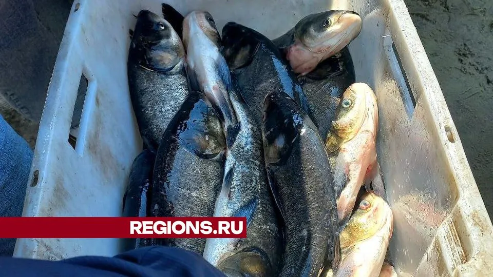 Фото: REGIONS/Олег Книжник