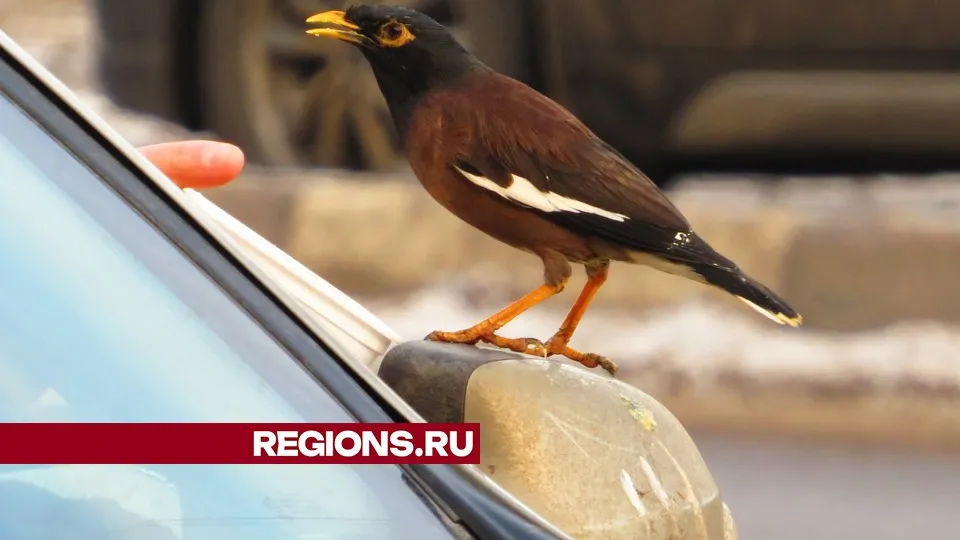 Фото: Андрей Снегерев