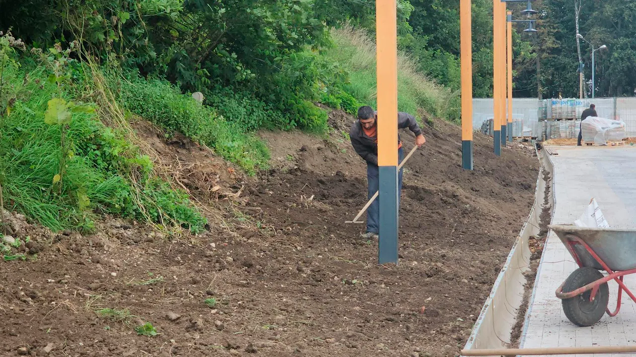 Картинка