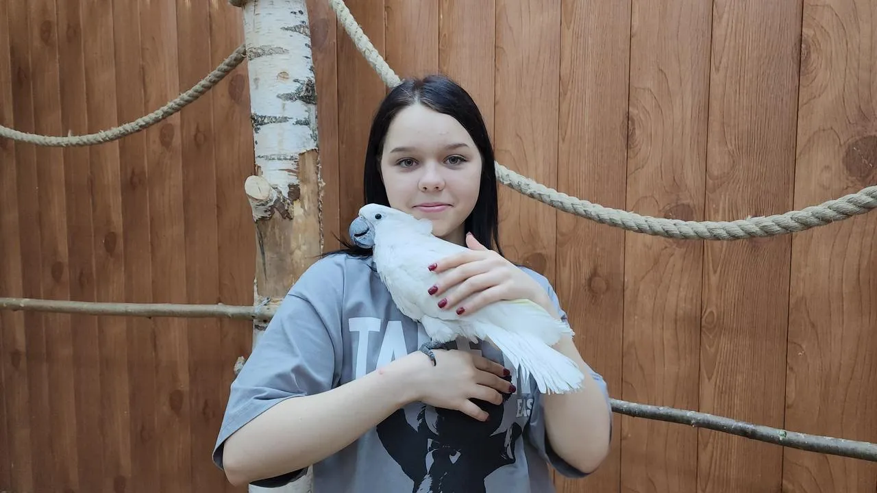 Картинка