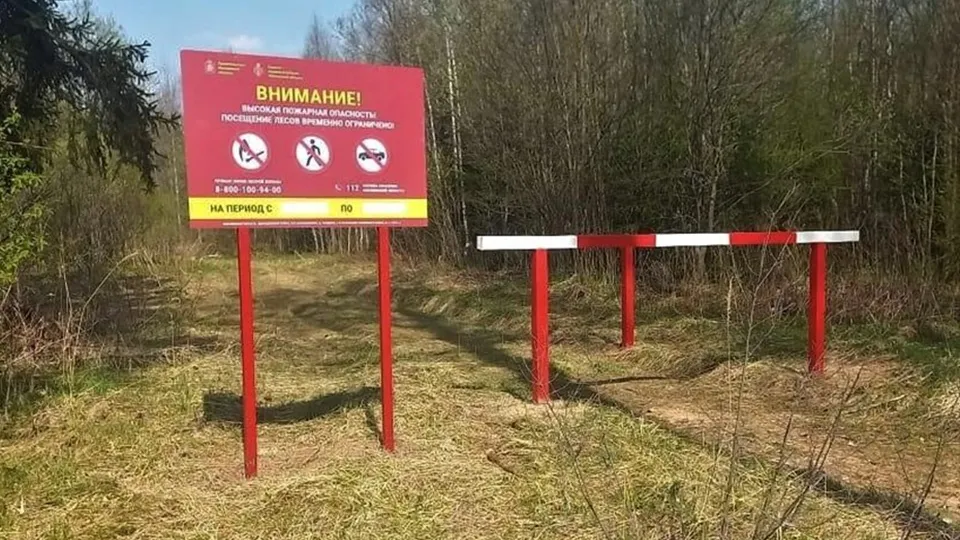 Фото: Комитет лесного хозяйства Московской области