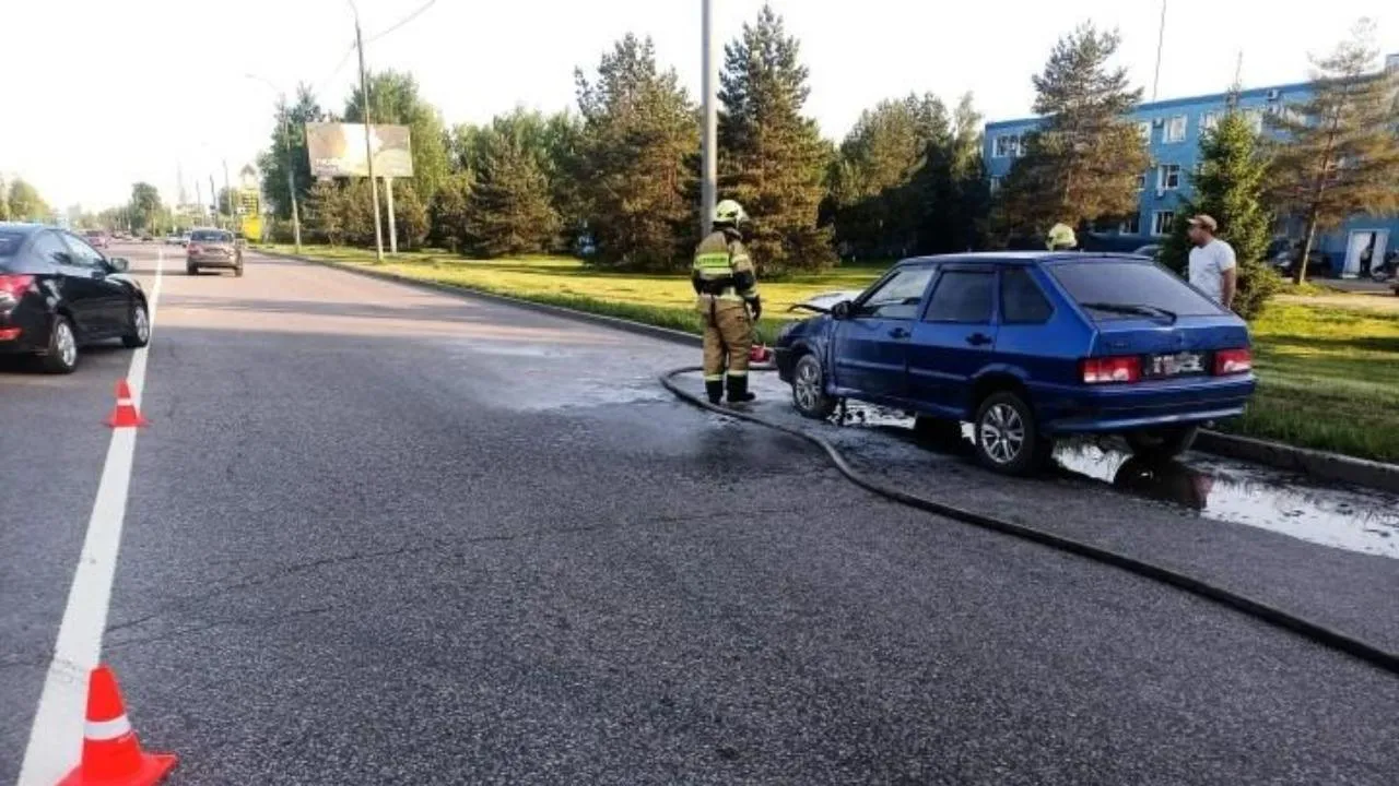 Картинка