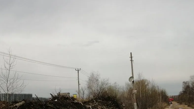 Фото: Министерство экологии и природопользования Московской области