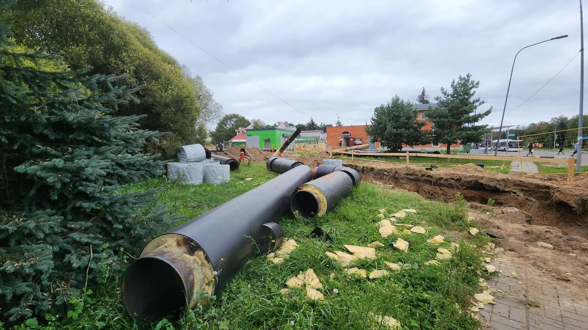 Фото: REGIONS/Иван Петрушин