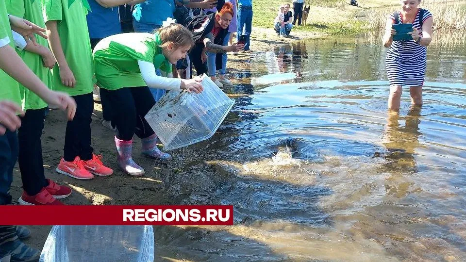 Фото: REGIONS/Олег Книжник