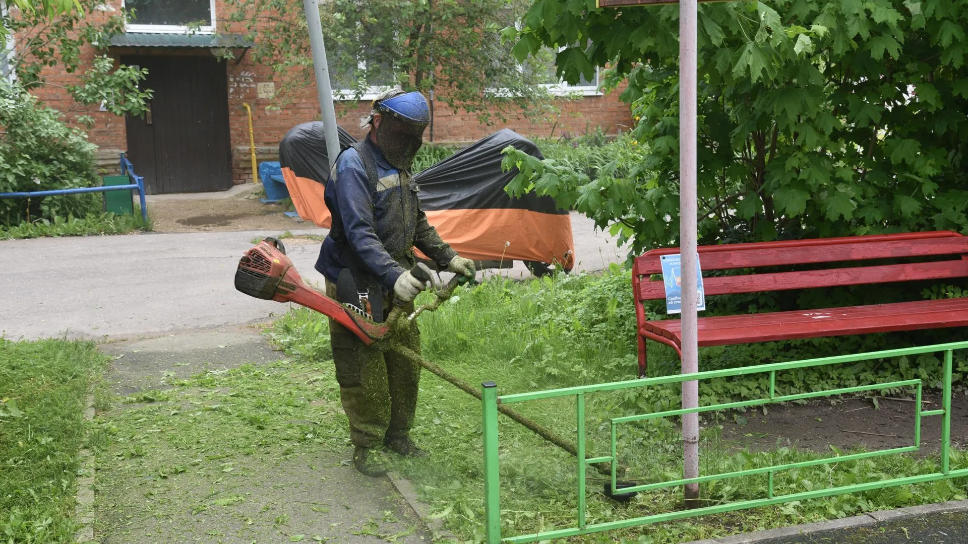 Картинка