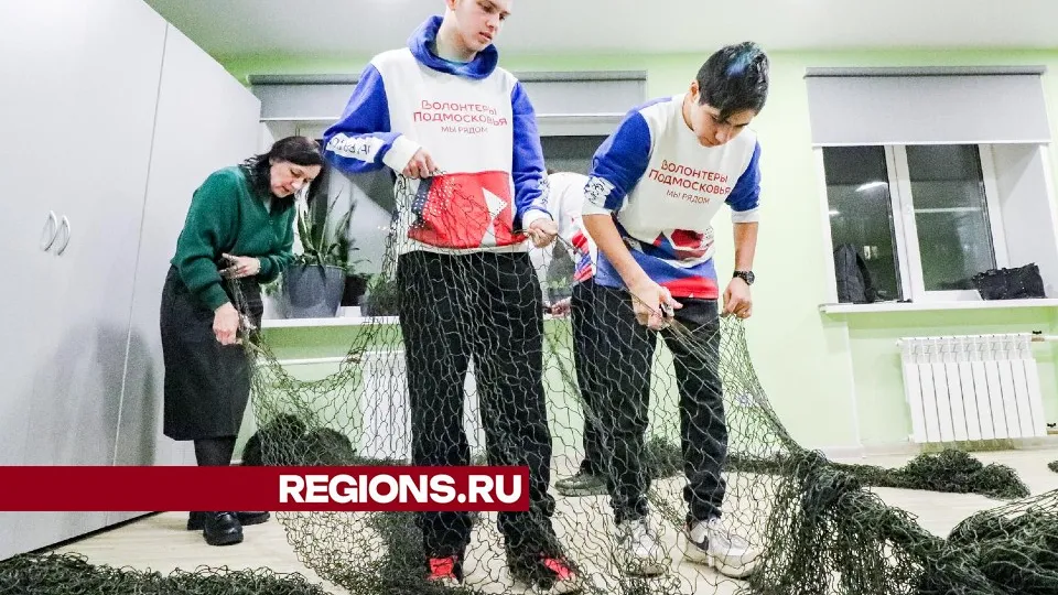 Фото: МедиаБанк Подмосковья/Данила Кирьянов&nbsp;