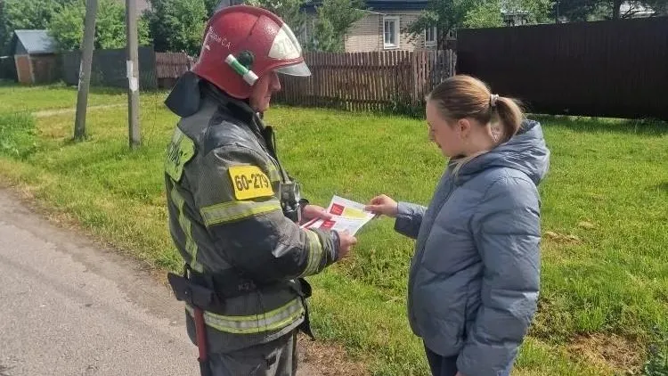 Картинка