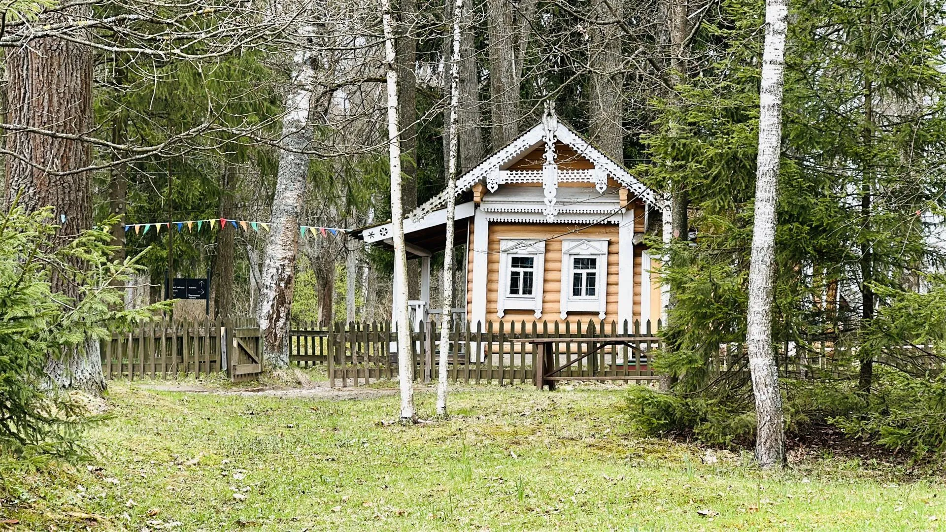 Картинка