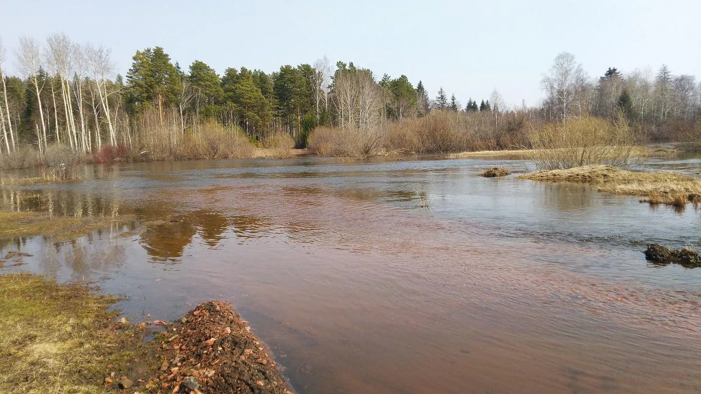 Вода уходит: Ока в Рязани упала на 22 см за сутки