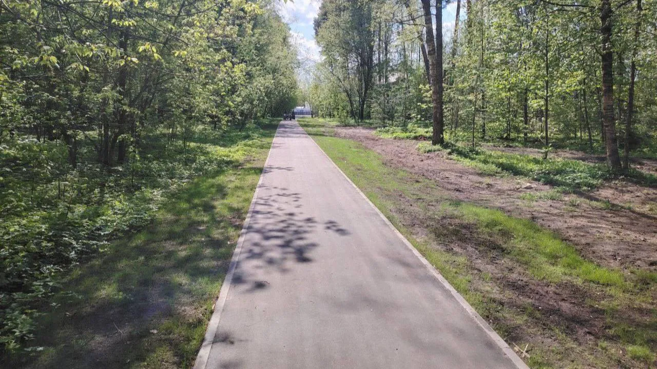 В Подмосковье в 2026 году благоустроят более 1 тыс. «народных троп»