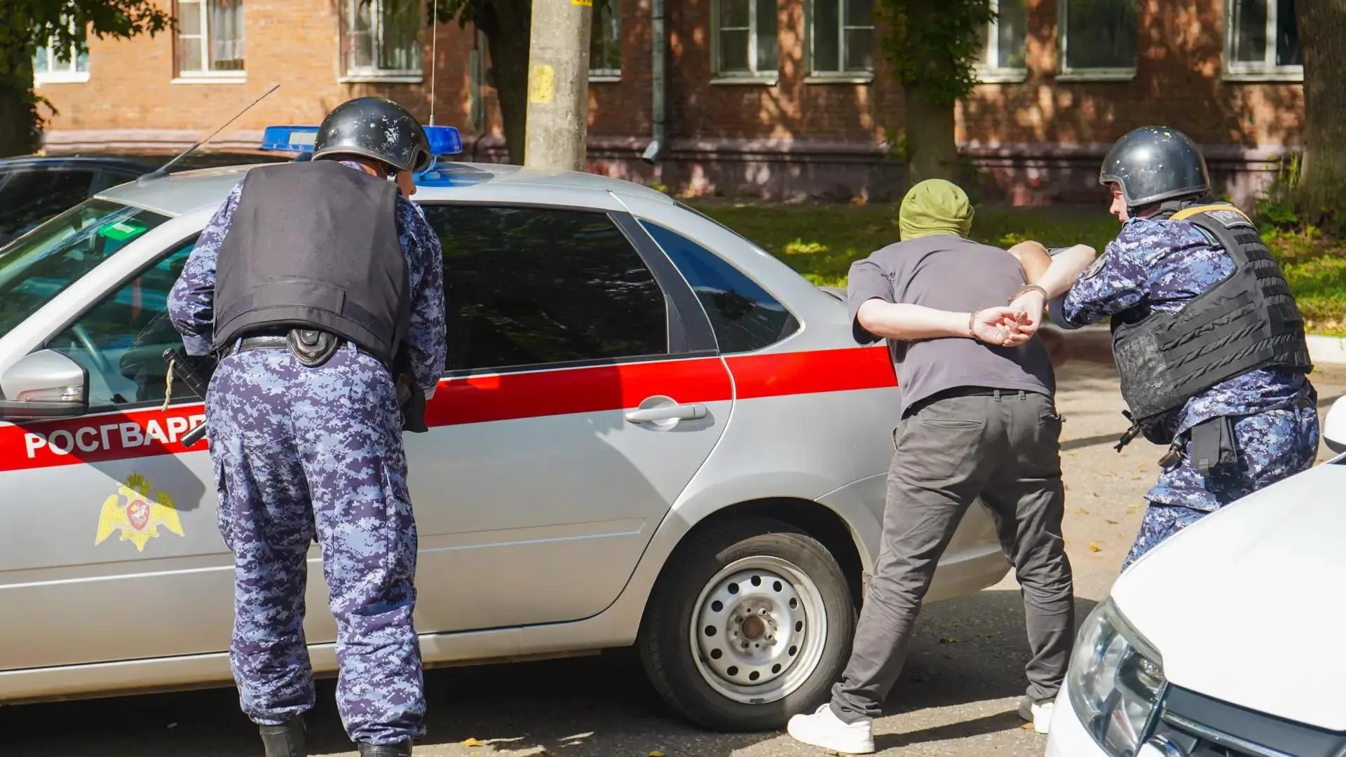 Картинка