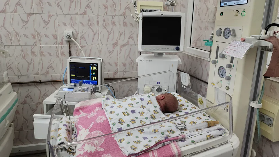 Фото: МедиаБанк Подмосковья/Галина Добрынина