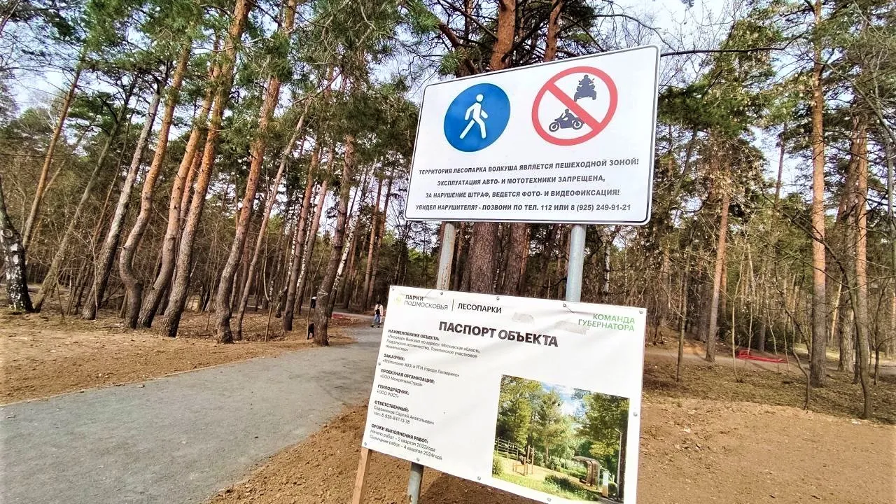 Фото: пресс-служба администрации г. о. Лыткарино