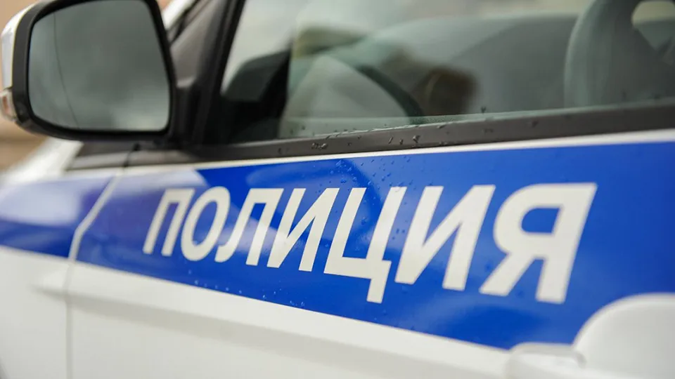 Фото: УМВД России по Дмитровскому городскому округу.