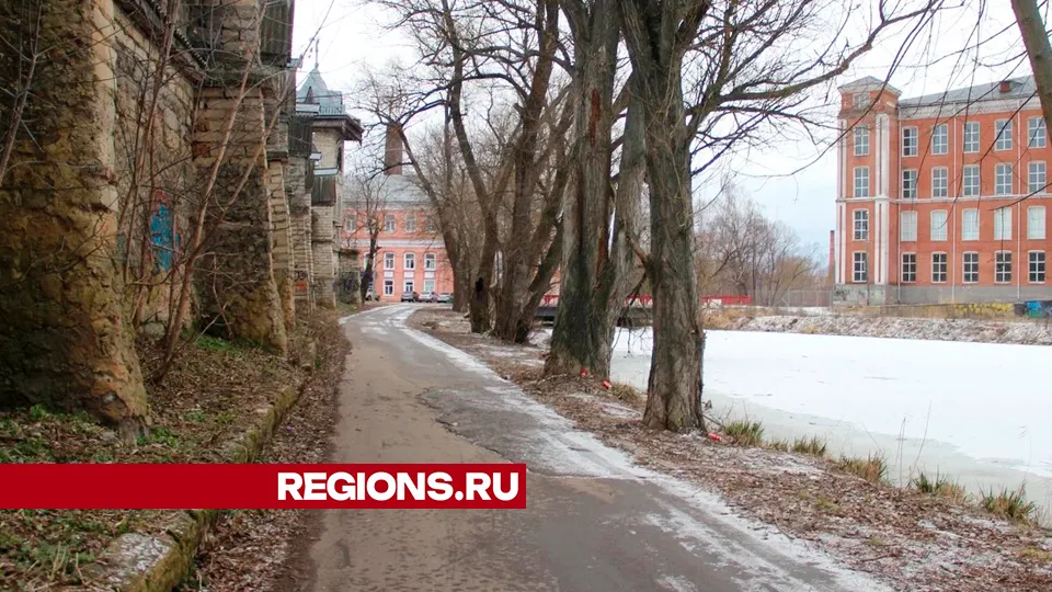 Фото: REGIONS/Василий Тремасов
