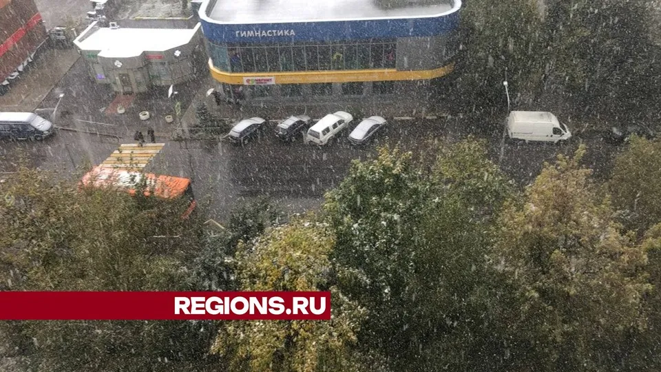 Фото: REGIONS/Дарья Назарова
