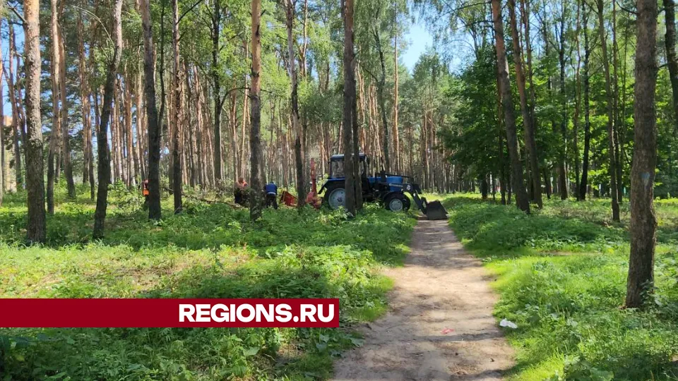 Фото: Виталий Сид