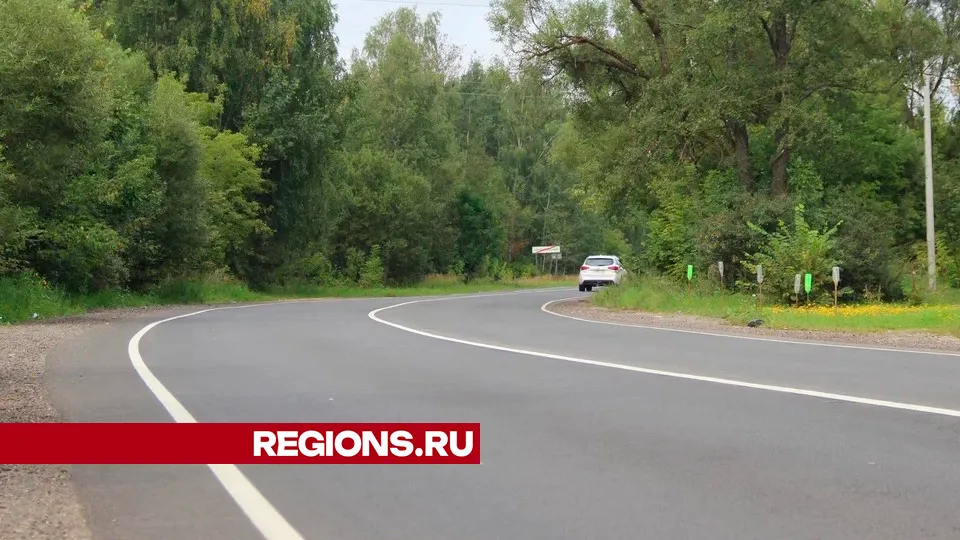 Фото: REGIONS/Василий Тремасов