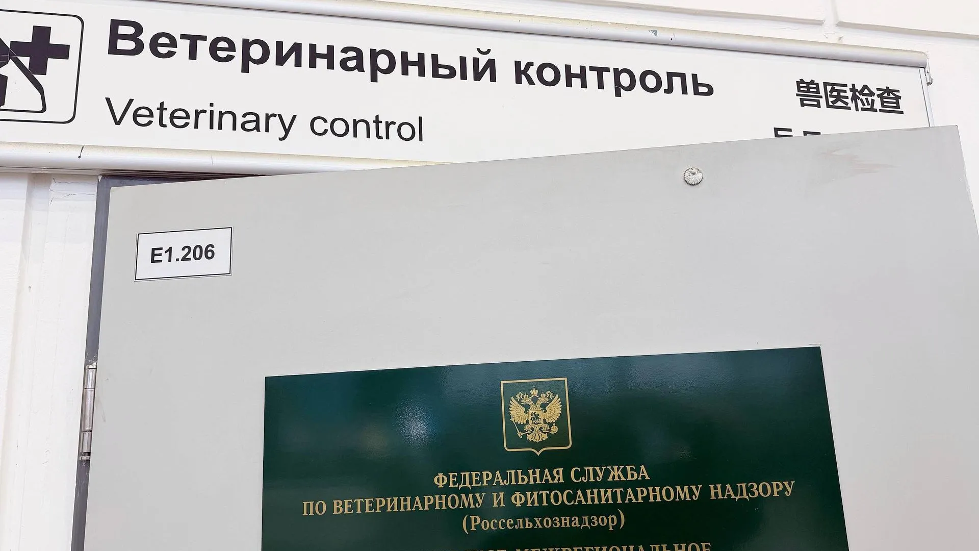 Парк львов ЗЕМЛЯ ПРАЙДА