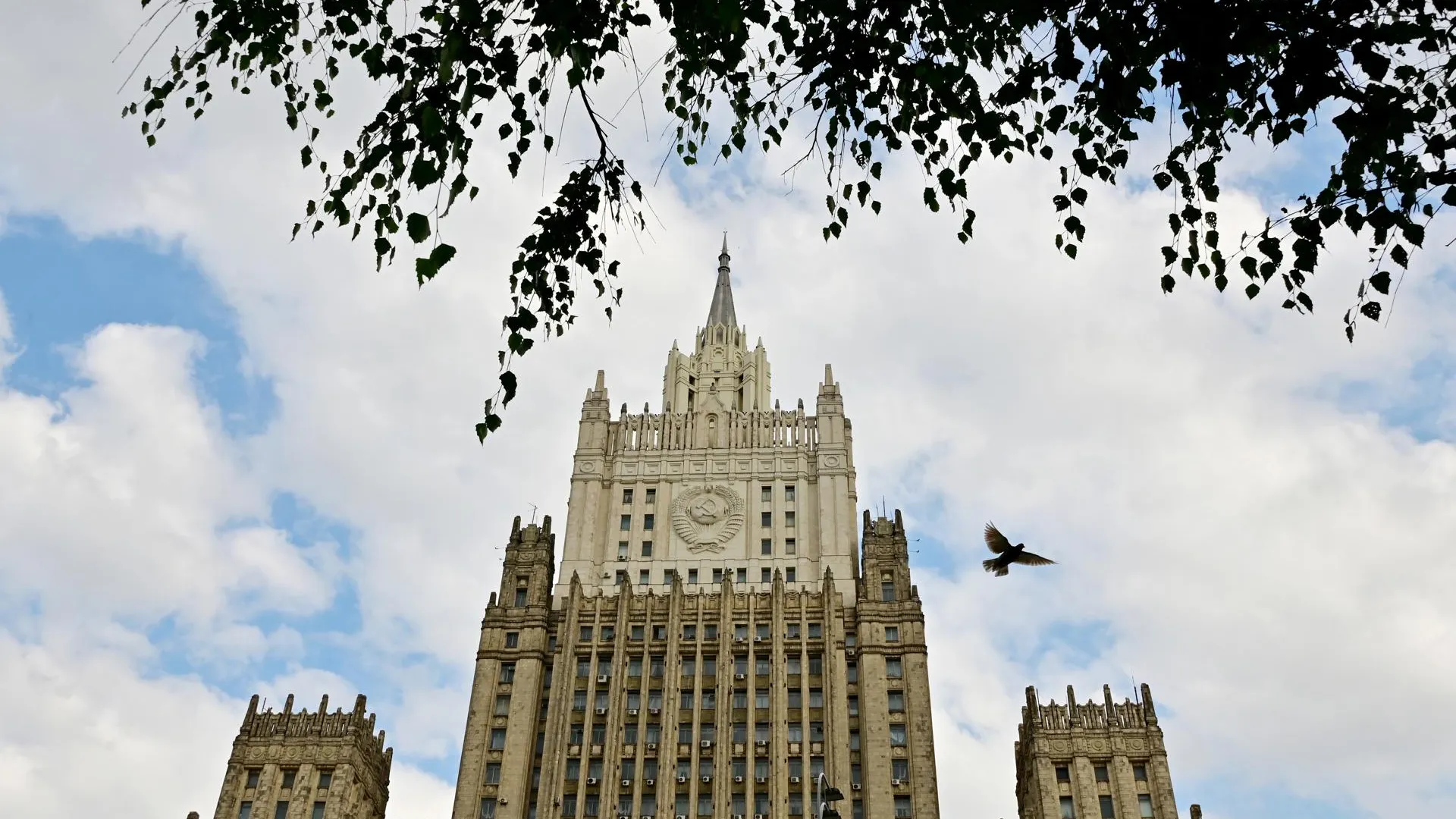 Vladimir Baranov/Globallook Press
