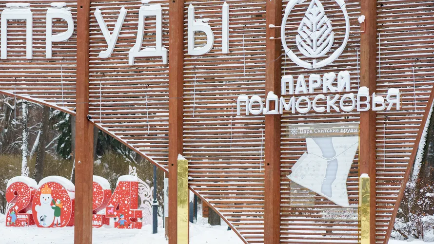 Фото: медиасток.рф