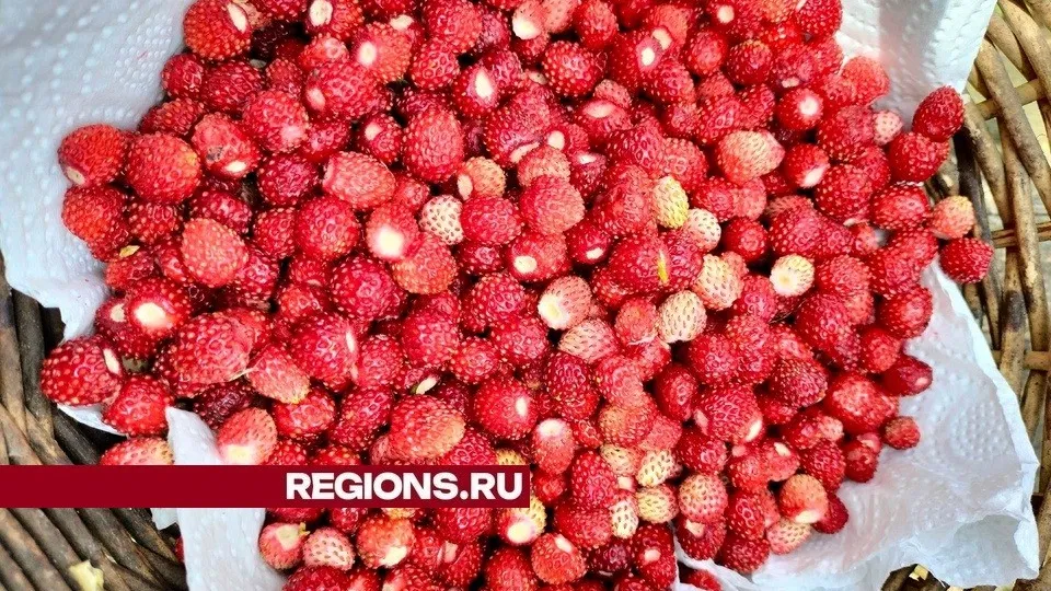 Фото: Людмила Михеева