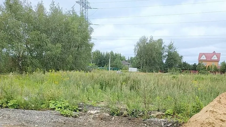 Фото: Управление экологии городского округа Мытищи