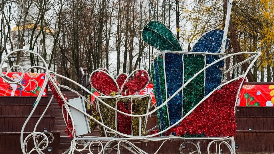 Фото: МедиаБанк Подмосковья/Ольга Стаферова