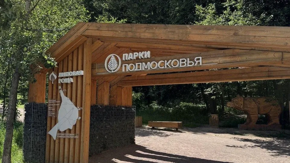 Фото: Министерство благоустройства Московской области