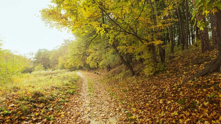 Фото: freepik.com