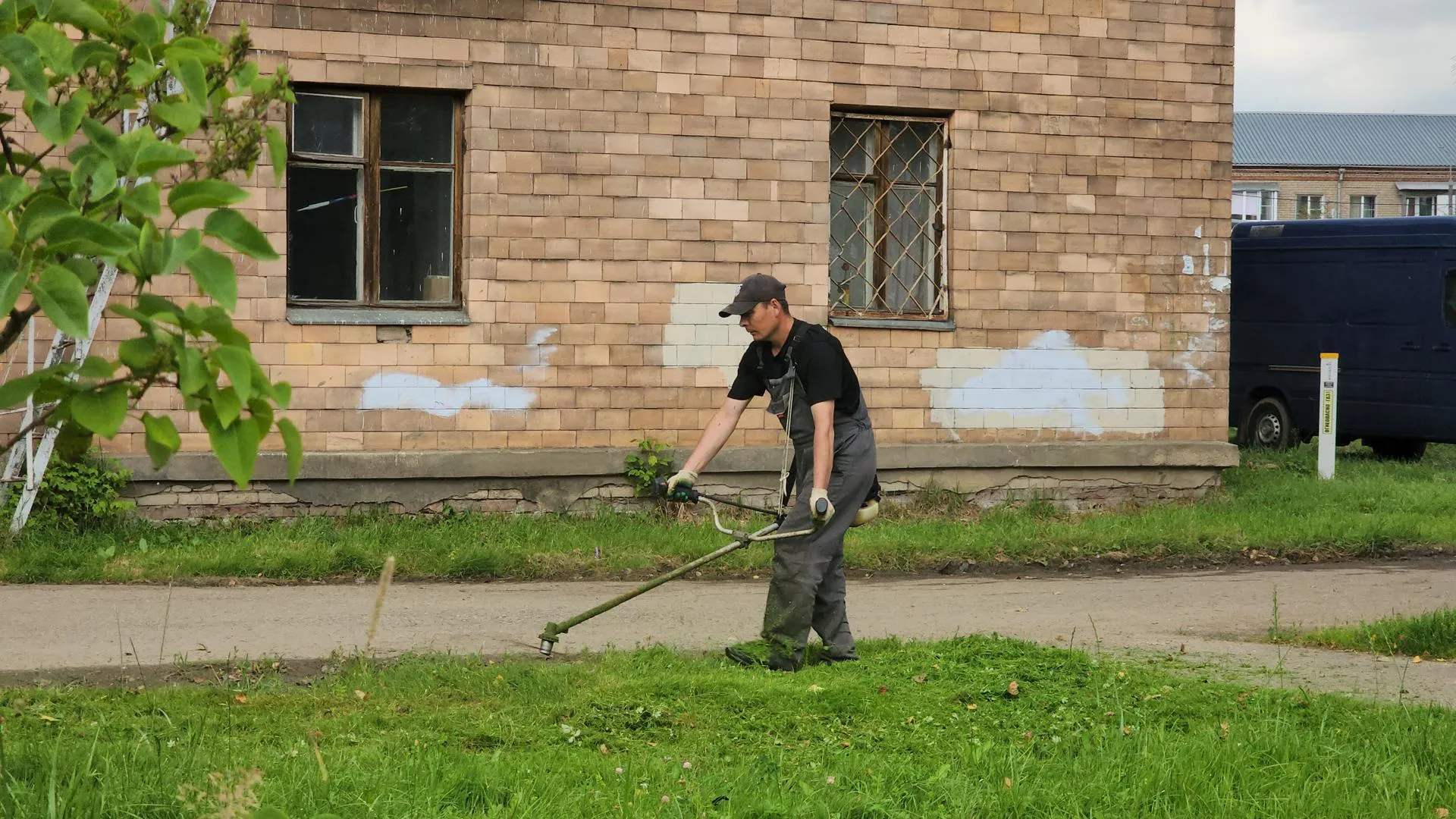 Картинка