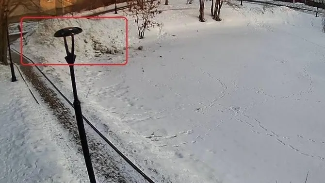 ГУСТ МО