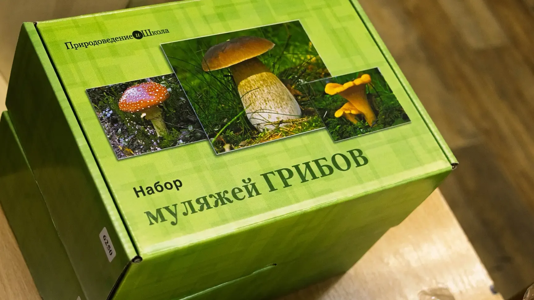Картинка