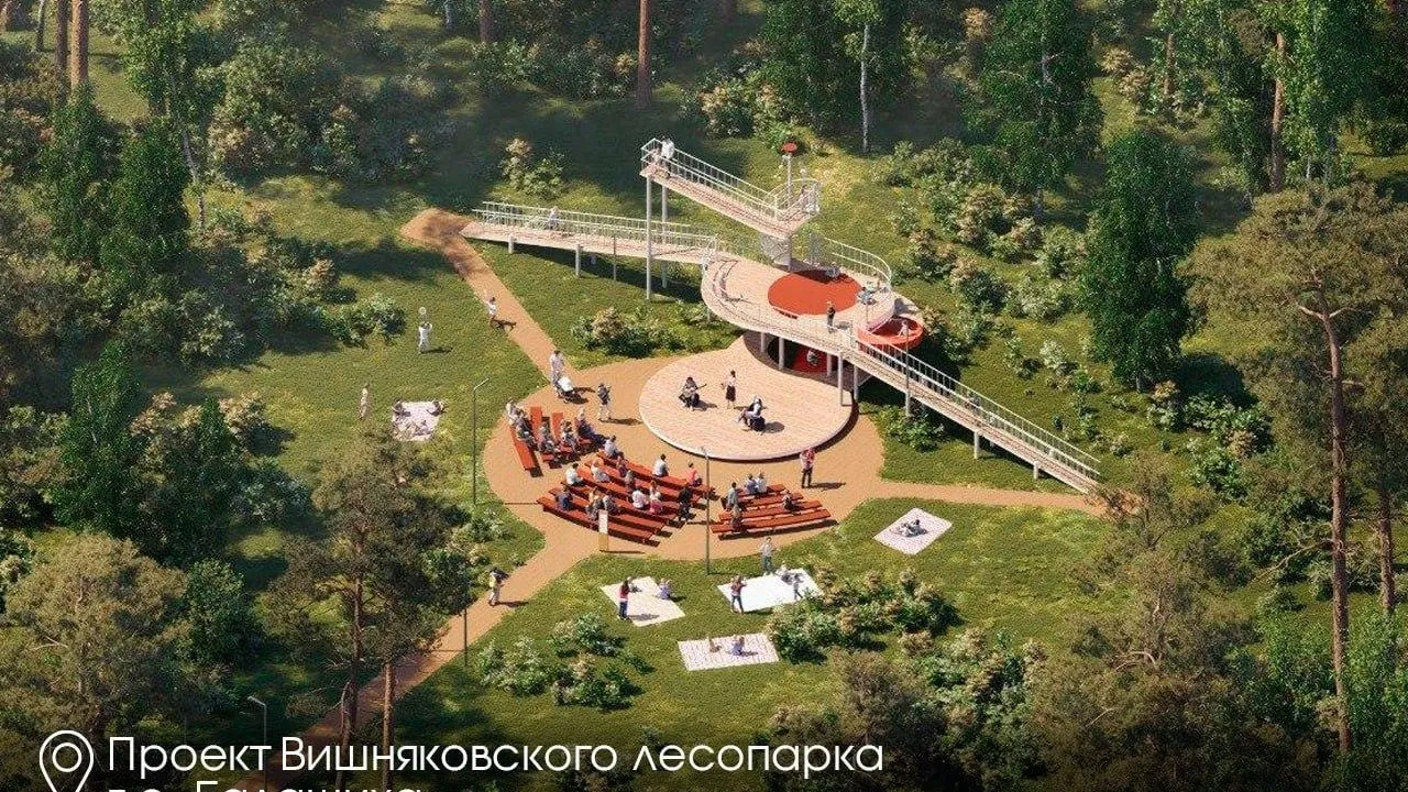 В Подмосковье в 2026 году откроют 11 лесопарков