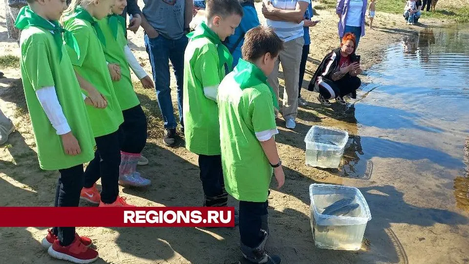 Фото: REGIONS/Олег Книжник