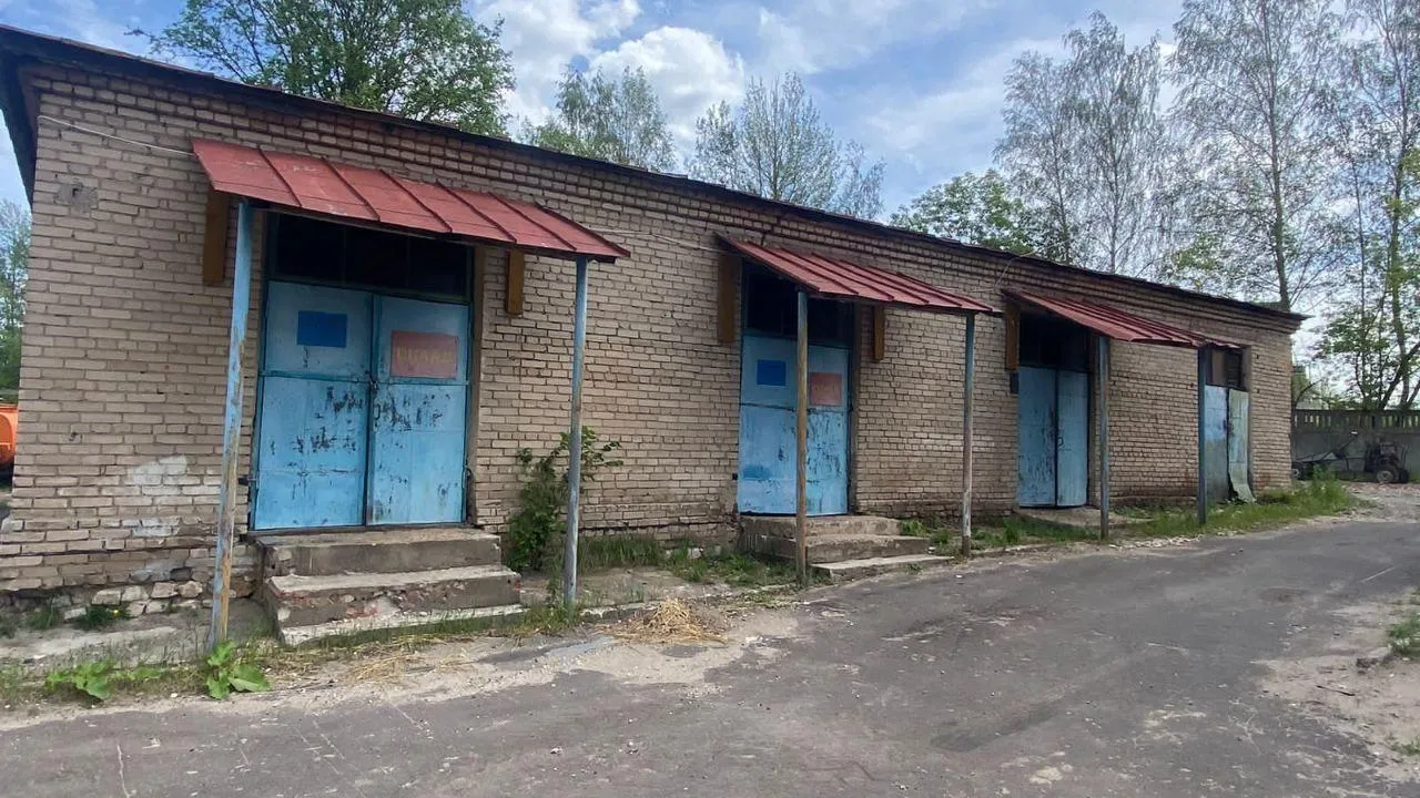 Картинка