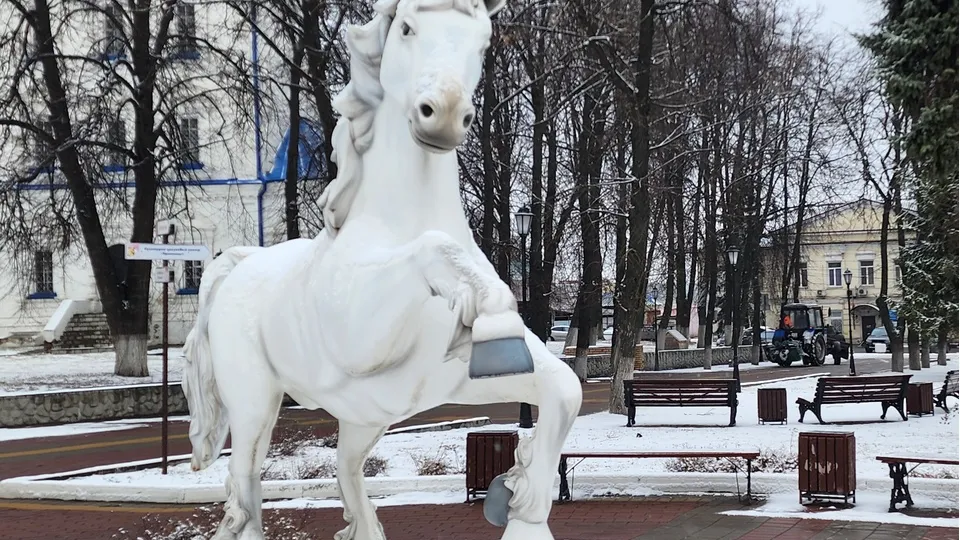 Фото: Ольга Антонова