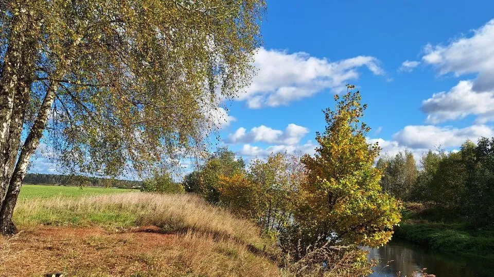 Фото: REGIONS/Максим Зубарев