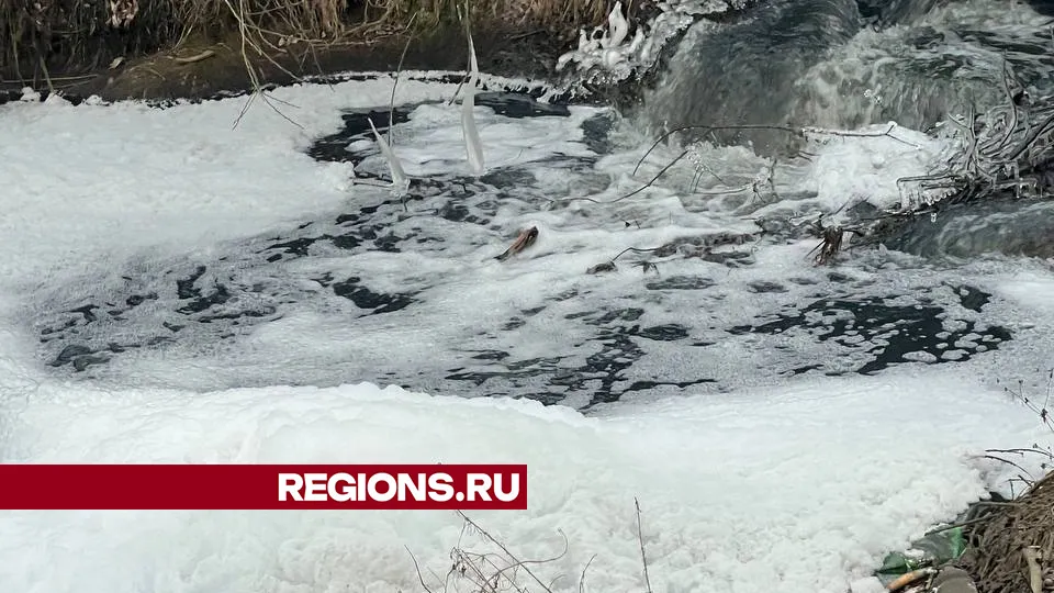 Фото: личный архив Дмитрия Куприенко