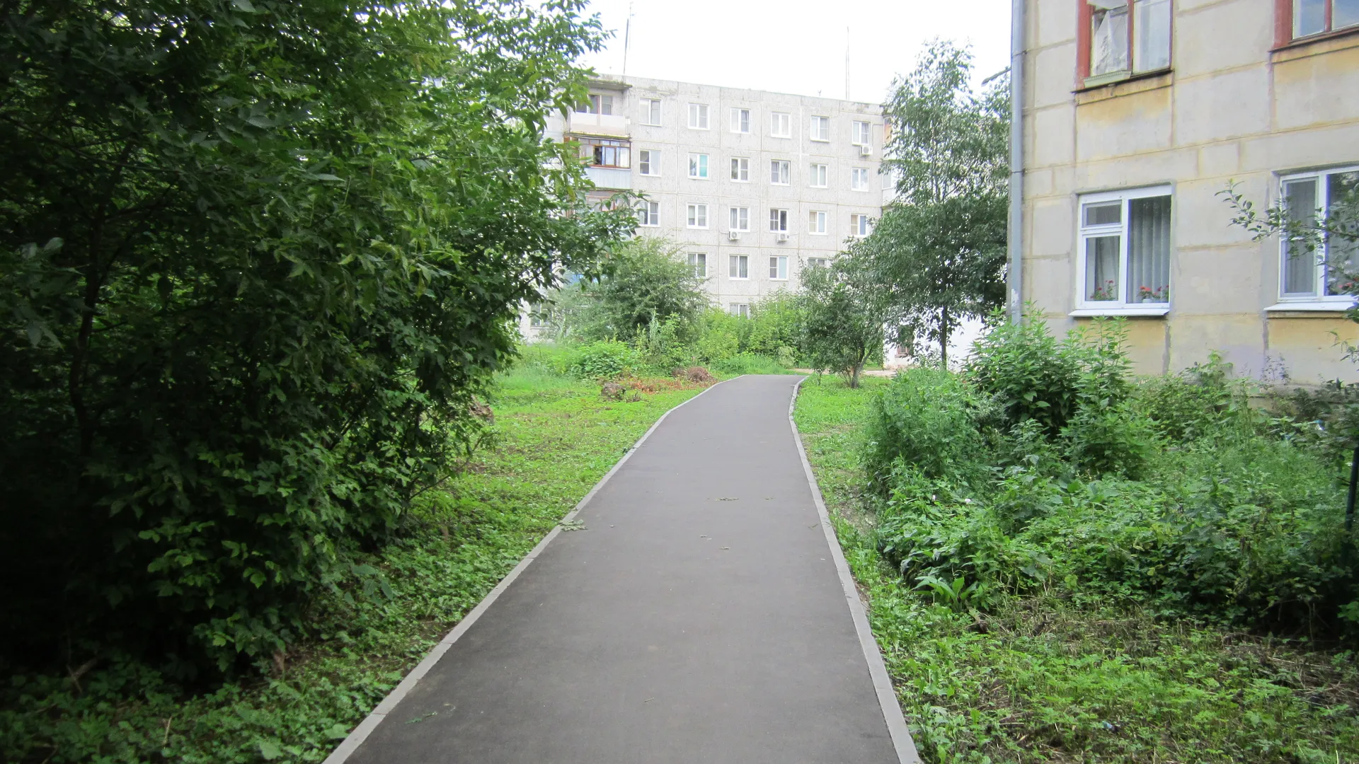 Фото: Олег Книжник